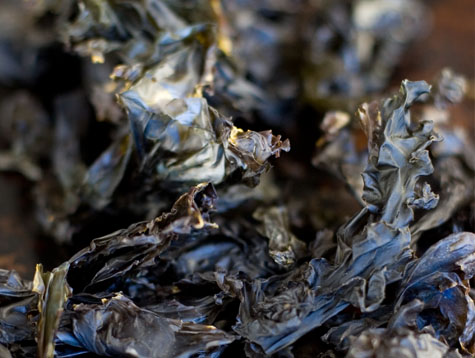 high protein seaweed