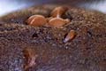 Chocolate Zucchini Cupcakes