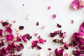 Edible Flowers
