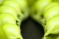 Fresh Shelling Peas: Four Ways
