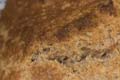 Irish Mum's Brown Bread