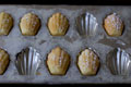 Madeleines