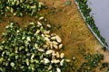 How to Make Pesto like an Italian Grandmother