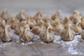 Golden Potstickers