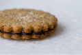 Brown Sugar Sandwich Cookies