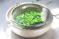Tarragon Oil